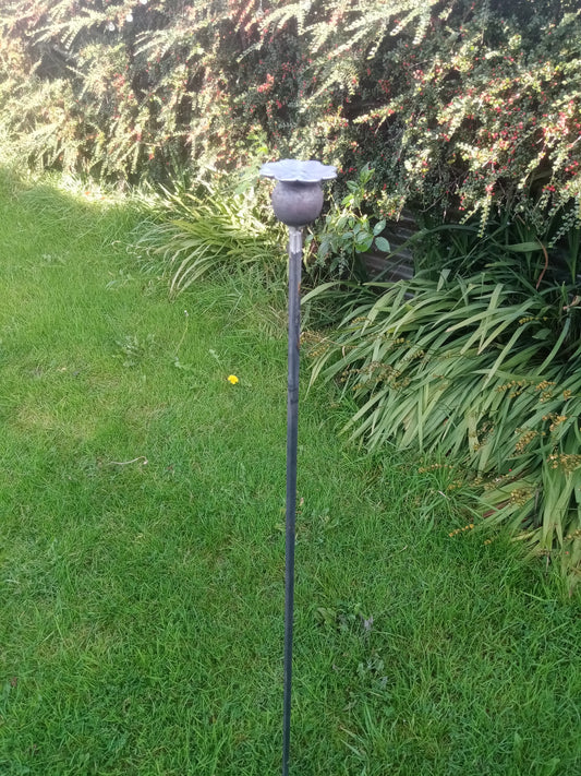 Ready to rust Poppy seed canes - set of 3