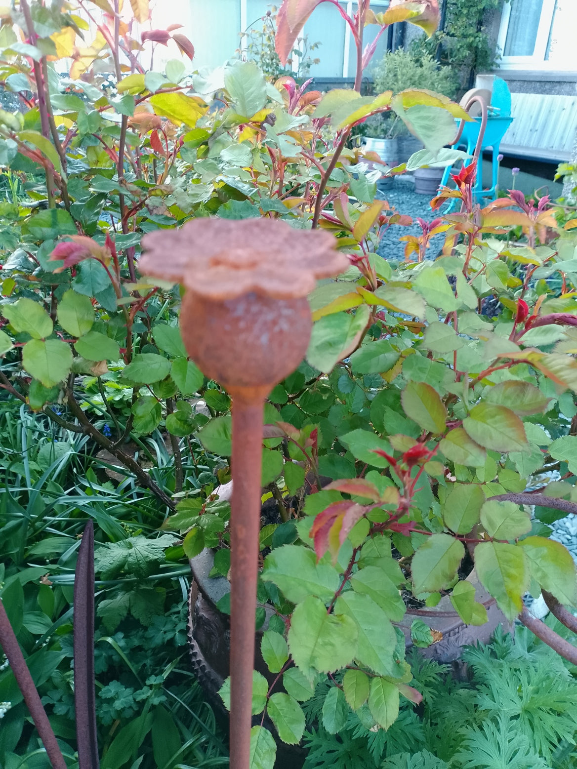 Ready to rust Poppy seed canes - set of 3
