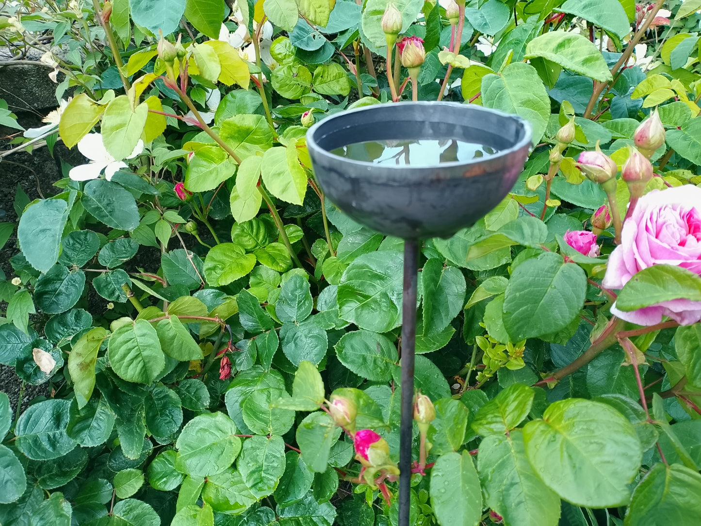 Hand made Rain Catchers – Garden Sculpture Set of 3
