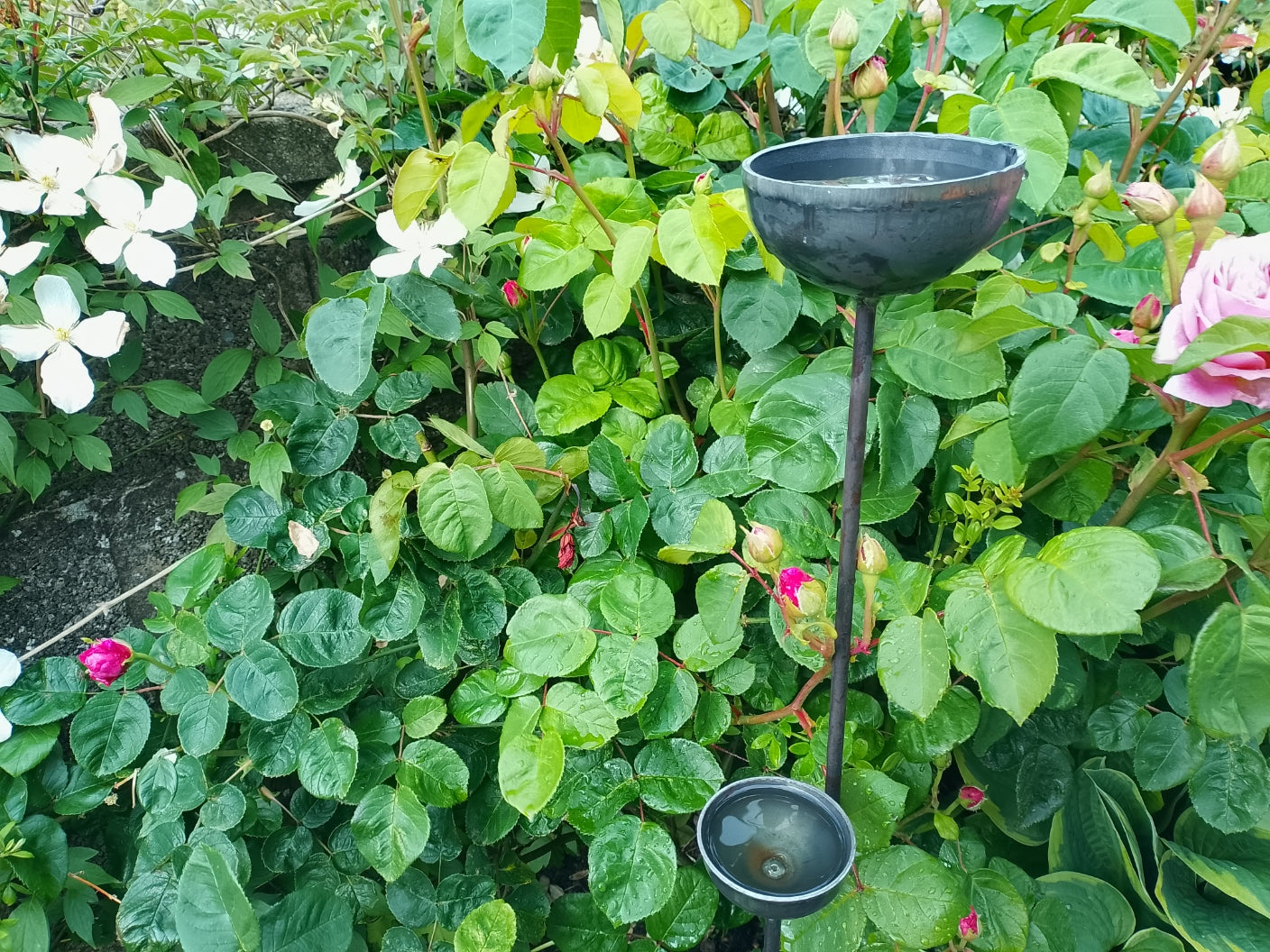 Hand made Rain Catchers – Garden Sculpture Set of 3
