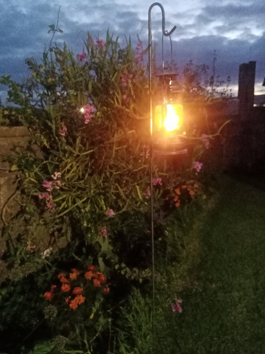 Heavy Duty Ready To Rust Shepherds Crook