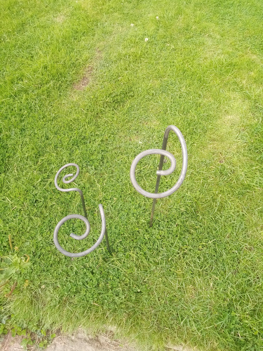 Spiral Plant Cane (set of 3)